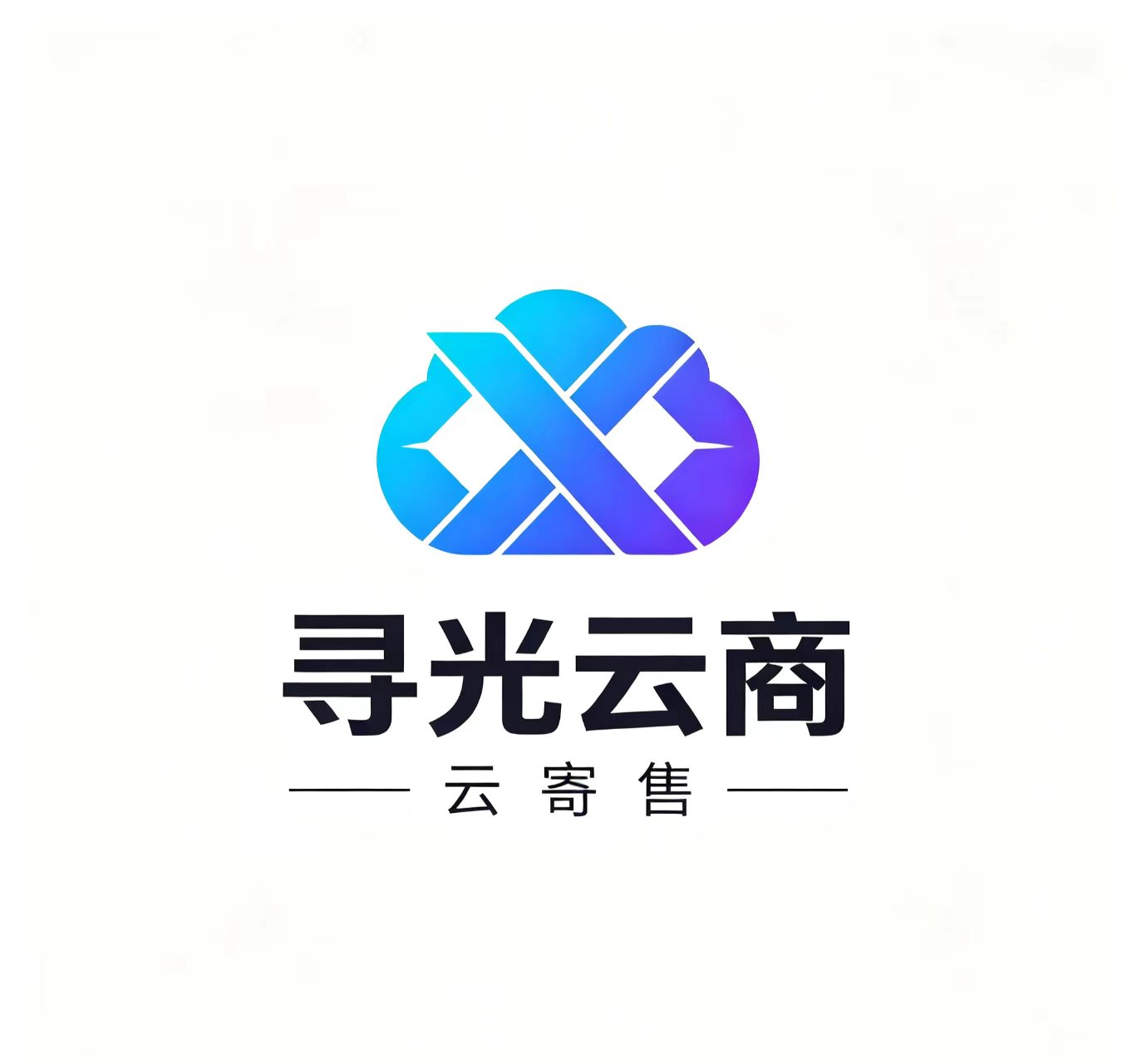 寻光支付